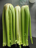 京鲜生山东新鲜大西芹净重4.5斤榨汁现挖芹菜鲜嫩蔬菜 去半叶源头直发 实拍图