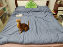 京东京造 100%纯棉空气洗四件套 国标A类全棉床单被套枕套床上用品 1.8米床暮霞蓝紫 实拍图