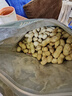 三只松鼠蒜香花生500g/袋 坚果炒货带壳炒制干果即食休闲零食品小吃 实拍图