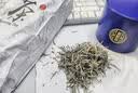茗聚惠 新茶福鼎白毫银针 正宗福鼎老白茶太姥山特级茶叶散茶装250g 实拍图