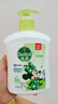 滴露（Dettol）洗手液茉莉绿茶清香500g*2 迪士尼儿童洗手液补充装家庭抑菌消毒  实拍图