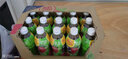 维他奶维他苹果味绿茶饮料绿茶饮品500ml*15瓶 整箱果味茶饮料 送礼囤货 实拍图