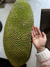 京鲜生 海南菠萝蜜整个 13-17斤 净重13斤生鲜水果 源头直发 实拍图
