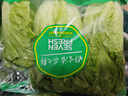 【高原夏菜】钟灵山罗马生菜400g 实拍图