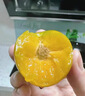 粤迎贵州六马蜂糖李【顺丰多地次日达】脆甜蜂蜜李水果多汁新鲜生送礼 A+级精选中果【单果35-40mm】 净重3斤【30%选择-较划算】 实拍图
