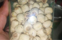 同仁堂品牌 北京同仁堂薏苡仁薏米250g泡酒煮粥煲汤养生滋补茶 实拍图