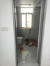 加仕高狗狗项圈中大型犬项圈宠物脖圈金毛萨摩帆布狗圈 双排孔 实拍图