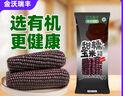 金沃瑞丰精品有机 黑糯玉米棒260g*8支＞4.5斤 新鲜甜粘黏 粗粮自营早餐 实拍图