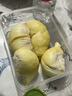 梦宛怡榴莲金枕新鲜果整箱一整个带壳泰国进口巴掌金枕头榴莲时令水果 净重2-3斤尝鲜巴掌果榴莲包3-4房 泰国进口金枕榴莲 实拍图