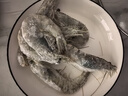 鲜京采 厄瓜多尔白虾 净重3斤/盒 特大号20-30规格   30-45只/盒 实拍图