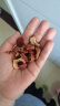 福东海 精选山楂干120g 无核片圈无籽 泡茶泡水花草茶 饭后解腻养生茶饮 实拍图
