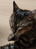 乐妃豪华大型猫爬架猫窝猫树一体猫咪城堡猫架子猫别墅玩具 实拍图