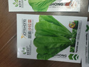 蔬菜种子四季播盆栽阳台庭院香菜生菜菠菜萝卜葱简单易种籽孑大全 四季青梗小白菜约800粒 实拍图