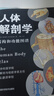 人体解剖学 结构和功能图谱 马超主译 借助分解图深入展示人体器官的工作动态 实拍图