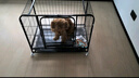 宠乐乖（CHONGLEGUAI）加粗方管狗笼子中型犬大型犬室内带厕所金毛拉布拉狗笼子110# 实拍图