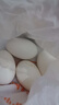 耕果妙新鲜大鹅蛋6枚1.2斤农家散养新鲜鹅蛋100-130g/枚 源头直发 包邮 实拍图