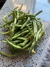 农家四季豆新鲜现摘云南长扁豆角农家应当季蔬菜芸豆现摘菜豆 新鲜四季豆1斤 实拍图