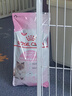 皇家皇家幼猫奶糕 幼猫猫粮 BK34 通用粮 1-4月 2KG 实拍图