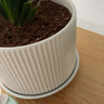 陶瓷花盆绿植盆栽亚光北欧风简约花盆大号桌面绿植盆送塑料托盘 白色 特大号（20*20*16） 实拍图