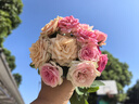 尚韵换装芭比娃娃儿童玩具女孩爱莎公主洋娃娃仿真玩偶生日礼物3-6岁 实拍图