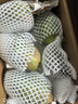 京地达海南芒果金煌芒 净重8斤单果400g新鲜金煌芒果礼盒源头直发 实拍图