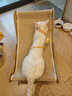 家有一宠猫咪牵引绳防挣脱外出专用工字型小奶猫背心式遛猫绳可调节猫链子 实拍图