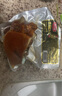 雨润酱卤猪头肉250g*4袋 1kg 熟食腊味 传统小吃 卤肉下酒菜 鸿运当头 实拍图