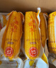 天勤粒粒净 有机彩花糯玉米8穗*220g（3.5斤）新玉米棒玉米真空包装早餐代餐 实拍图