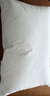 康尔馨羽绒枕头 五星级酒店95%白鹅绒枕头芯  A类全棉复合枕芯成人家用 中枕（48*74cm） 单只 实拍图