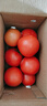 【超市精选】山东沙瓤水果西红柿新鲜番茄蔬菜减肥单果100g起 西红柿中大果 3斤 带箱 实拍图
