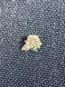 马莎兰缇(MashaLanti)男士汽车钥匙包腰挂钥匙扣多功能卡包拉链锁匙包男父亲节生日礼物实用送爸爸男朋友老公 Y85灰色 实拍图