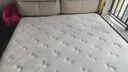 床垫清洗床垫去污杀菌消毒除螨除异味席梦思蒸汽清洗上门清洗服务 单面清洗 1.8米床垫 实拍图