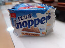 knoppers优力享 德国进口 牛奶巧克力威化饼干5包125g 早餐代餐办公室零食 实拍图