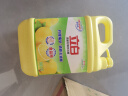 立白清新柠檬味洗洁精大桶1.5kg 除味去油去腥 餐具净洗涤灵洗碗液 实拍图