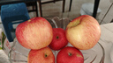 京鲜生 洛川苹果陕西红富士净重8.5斤 单果80-85mm 新鲜水果源头直发 实拍图