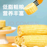 京鲜生【有机】内蒙古敖汉白甜糯玉米礼盒装200g×8根源头直发包邮 实拍图