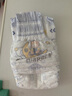 宝婴美潮玩熊纸尿裤XXL码38片【14-17kg】超薄干爽婴儿尿不湿透气尿裤 实拍图