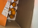 京觅浙江台州涌泉蜜桔 净重5斤 单果55mm+ 橘子桔子水果礼盒 源头直发 实拍图