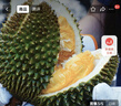 趣尝鲜马来西亚朱雀榴莲液氮冷冻D13整果生鲜水果 2.0-2.5斤 源头直发 实拍图