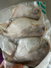 三都港 冷冻东海银鲳鱼净重450g/3条装 平鱼 海鱼生鲜鱼类 烧烤 实拍图