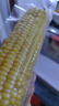 京觅东北黄糯玉米4.5斤(7-10穗) 东北甜黏玉米棒早餐苞米源头直发 晒单实拍图