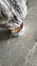 顽皮（Wanpy）Happy100果饭儿系列宠物零食猫罐头三文鱼80g*12罐 猫湿粮 实拍图