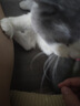 汪爸爸鲜肉无谷犬粮小型犬中大型犬幼犬成犬全犬种双拼冻干通用型狗粮 鲜肉全价狗粮8kg【囤货装】 实拍图