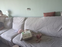 帕布（pabu）雕花绒裙边沙发套罩全包四季通用弹力防滑L型贵妃沙发垫套盖布巾 大叶子-浅灰 套餐6：三人+小单人+右贵妃 实拍图