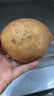 中鲜生 云南红皮黄心小土豆新鲜蔬菜火锅食材 大土豆9斤（比鹅蛋还大） 实拍图