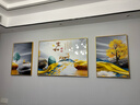 诗六艺家饰客厅装饰画北欧现代简约沙发背景墙挂画三联画大气轻奢壁画晶瓷画 家和富贵A（铝合金外框） 晶瓷画左右50*70+中间100*70亮面 实拍图