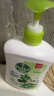 滴露（Dettol）洗手液茉莉绿茶清香500g*2 儿童抑菌洗手液补充装消毒 香氛迪士尼 实拍图