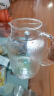 青苹果耐热玻璃水壶 可明火直烧凉水壶冷水壶花茶壶泡茶围炉煮茶壶1.6L 实拍图
