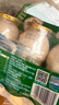 伊利畅意乳酸菌饮品原味 100ml*20瓶 实拍图