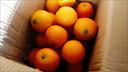 【热销】湖北秭归脐橙鲜果上市 带箱9斤65-70mm 实拍图